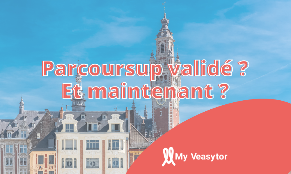 Vue de la ville de Lille avec ses bâtiments typiques et une ambiance étudiante dynamique.